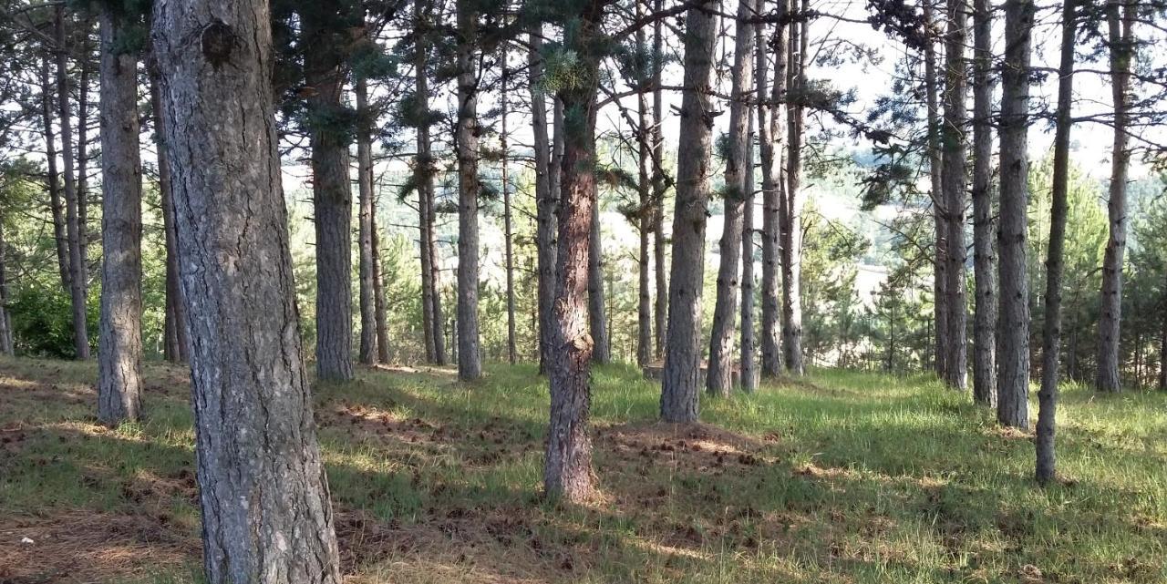 Chalet Ricciano Foligno Eksteriør billede