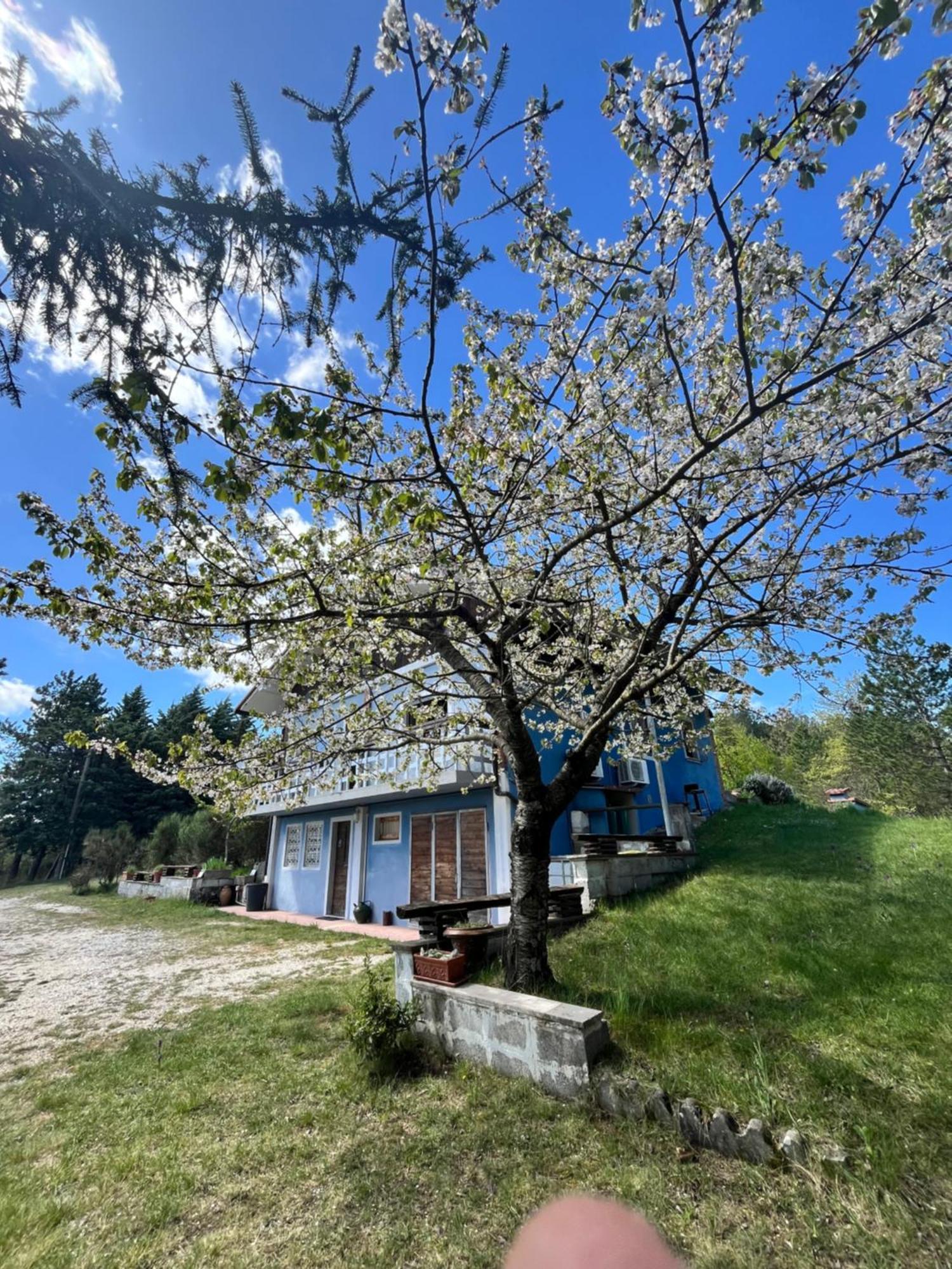 Chalet Ricciano Foligno Eksteriør billede