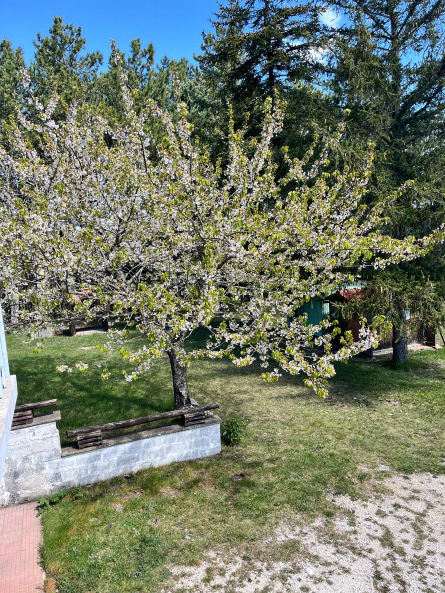 Chalet Ricciano Foligno Eksteriør billede