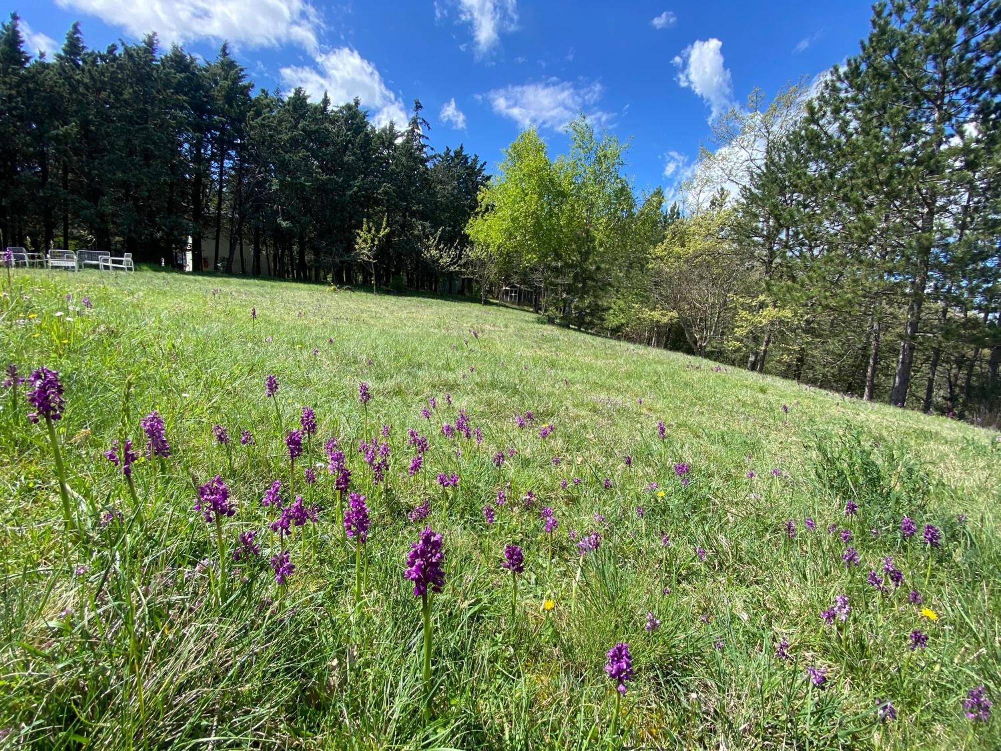 Chalet Ricciano Foligno Eksteriør billede